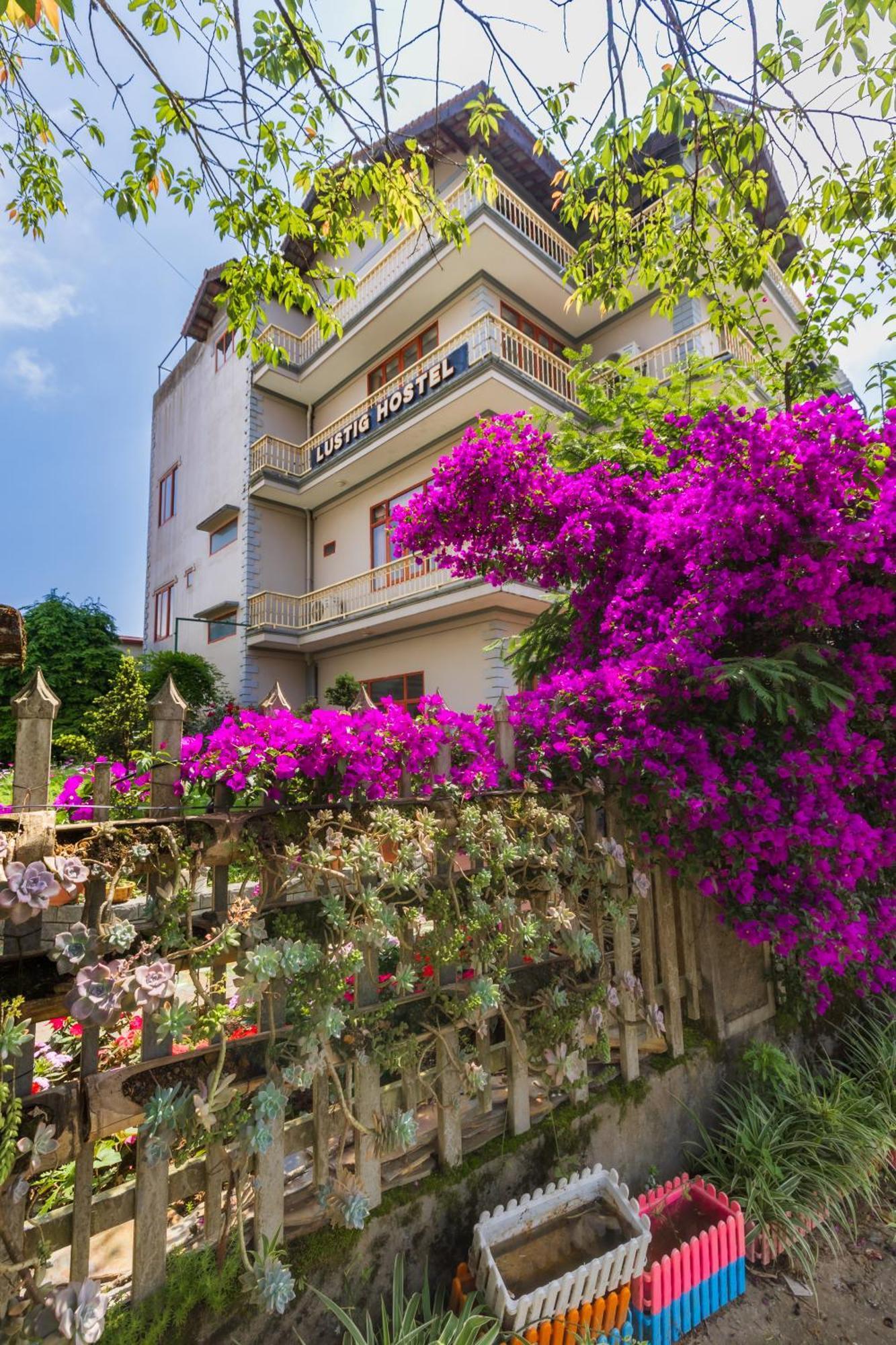 Lustig Hostel Sapa Bagian luar foto